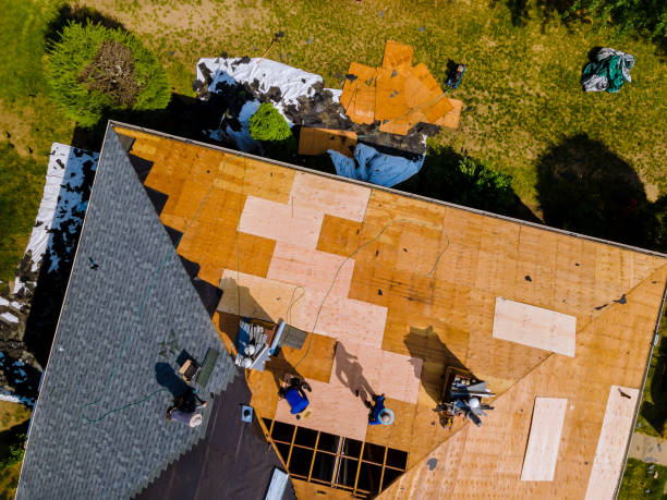 Best Shingle Roofing Installation  in Delmar, MD