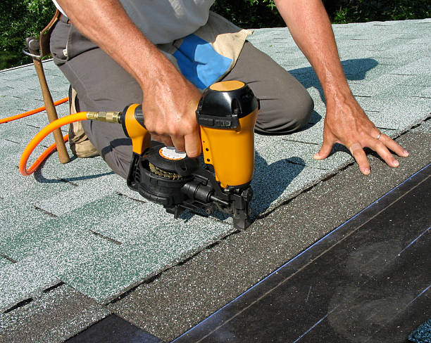 Best Roof Leak Repair  in Delmar, MD