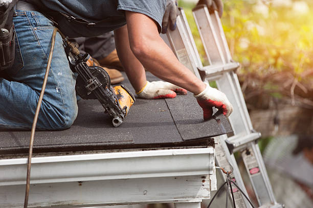 Roof Repair Estimates in Delmar, MD